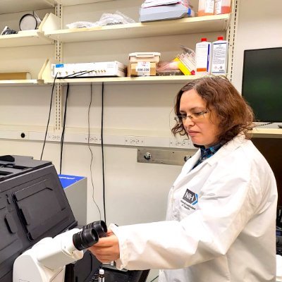 Investigator at Neuro-Oncology Branch of National Cancer Institute in Bethesda, Maryland. Private account. All views are my own.