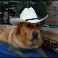 texasgentleman2025 (@texasgentl86995) 's Twitter Profile