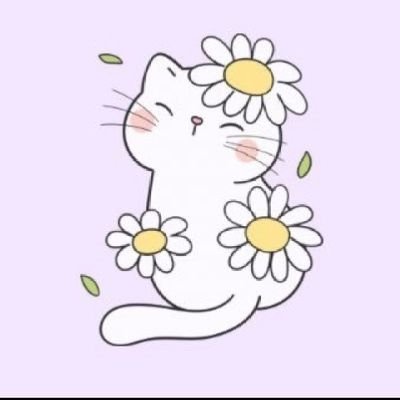 Cat Profile