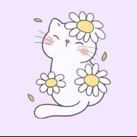 Cat (@catsmakebiscuit) 's Twitter Profile Photo Cat (@catsmakebiscuit) 's Twitter Profile Photo