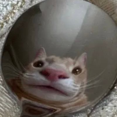 ItsToxky's profile picture. - Smelly Gang - - i wanna be Youtuber/Streamer -