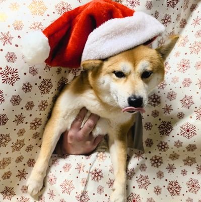 En couple. /
Musique. / Jeux vidéos. / Danse. / Chant.