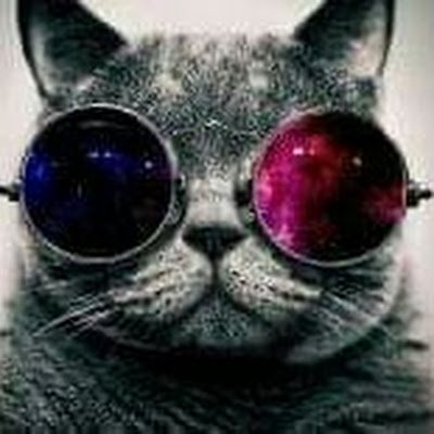 putra_patria123's profile picture. RMHLHS8R