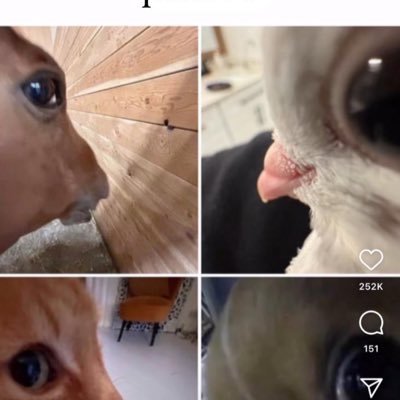 Lizzyjhay55's profile picture. 