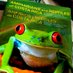 JunkoMartina🐸語学pocoApoco (@junkomartina) Twitter profile photo JunkoMartina🐸語学pocoApoco (@junkomartina) Twitter profile photo