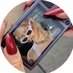 mmmmmm (@mmmmmmmm1234p) Twitter profile photo mmmmmm (@mmmmmmmm1234p) Twitter profile photo