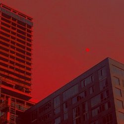 shelton_102w's profile picture. 