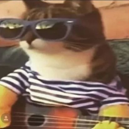 automatizadoo_'s profile picture. no se