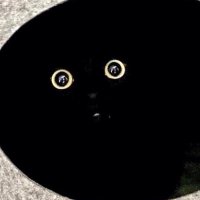 M4rphy (@murphy_has_bows) 's Twitter Profile