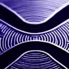 4280LUXY's profile picture. 