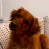 InvisibleWraith09 (@czarwraith09) 's Twitter Profile