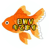 ゆみねぇ(📻名:きんぎょ) (@kingyo_qwv) 's Twitter Profile Photo ゆみねぇ(📻名:きんぎょ) (@kingyo_qwv) 's Twitter Profile Photo