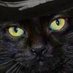 Electronic Progression (@zorrotd) Twitter profile photo Electronic Progression (@zorrotd) Twitter profile photo