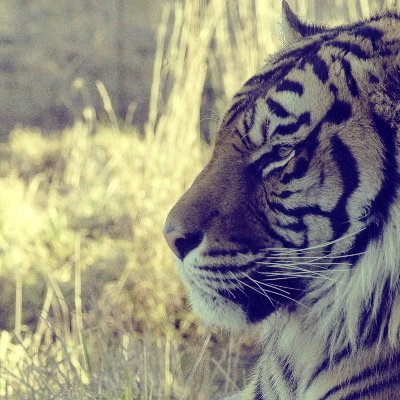 Dsilvas14's profile picture. Enthusiast in the crypto world