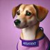 HelpHound (@helphound) Twitter profile photo HelpHound (@helphound) Twitter profile photo