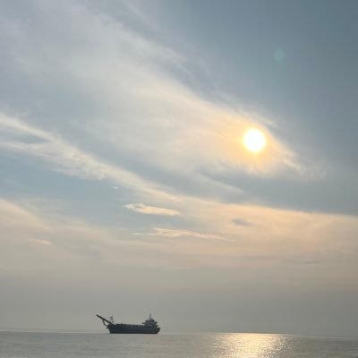 doomeerotato's profile picture. 