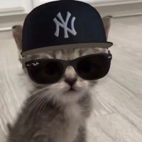 UbeRamen (@4biddenp3rcs) 's Twitter Profile Photo UbeRamen (@4biddenp3rcs) 's Twitter Profile Photo