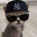UbeRamen (@4biddenp3rcs) Twitter profile photo UbeRamen (@4biddenp3rcs) Twitter profile photo