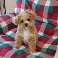 Hana (@bfbbx7ug5383361) 's Twitter Profile Photo