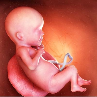 AbortionIsAwfuI's profile picture. Abolitionist 🌳🪓 Only You Have The Power To Give Your Baby Life, Choose It. ✝️ "you knit me together in my mother's womb." Psalms 139- Follow Instagram