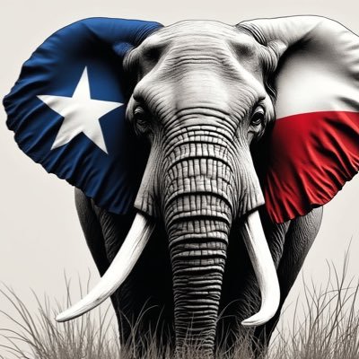 Repentant Disciple❤️🔥⚓️❤️🔥 | Texian | Bull Elephant in a Party of RiNOs | DKE-addled Subtard | Not MAGA. Just Good Trump/Bad Trump | Liberty ≠ license.