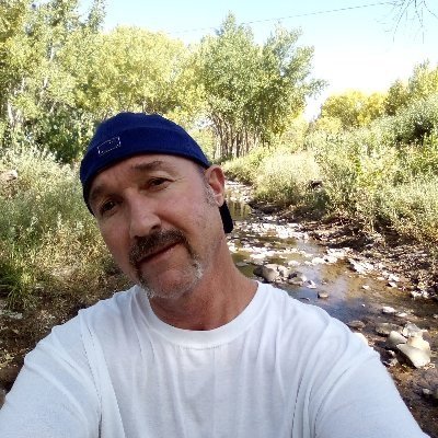 courtn44652's profile picture. 