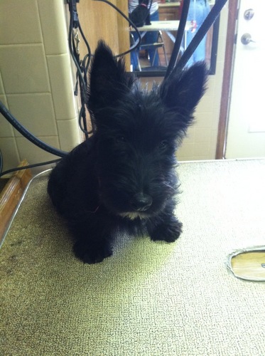 TillieCM's profile picture. 