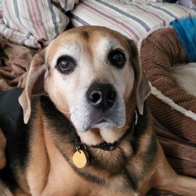 JohnathanK88901's profile picture. A fellow human trying to make a positive difference. Proud family man, husband, father, and American USA 🇺🇸