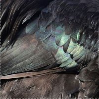 πππ’π³π’ (@_s1lverblood) 's Twitter Profile