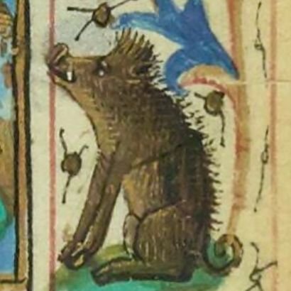 MarginalHog's profile picture. Unbothered. In my lane. Stinky.