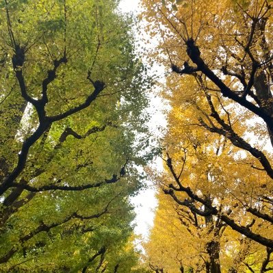 miiiina7474's profile picture. 報道💛 過去ツアー・舞台🤚餅あり〼 💛固定