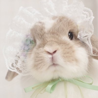𝐟𝐡𝐲 ♡ ˚✧₊ 🐰ྀི ꕥ💘さんのプロフィール画像
