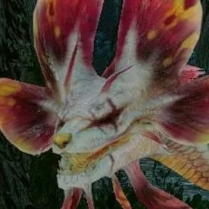A real life male mizutsune | 23 | Discord: soulseermizutsune | I don't always stick to Monster Hunter | I'm not paying child support | RP/DM is ok | Homo