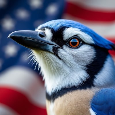 Independent Thinker • Proud Patriot • Freedom Lover • Curious Observer • Question Everything. 🚫 NO DMs. #MAGA #MAHA #DownTheRabbitHole #TheTruthIsOutThere