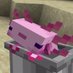 Axolabs (@axo_labs69) Twitter profile photo