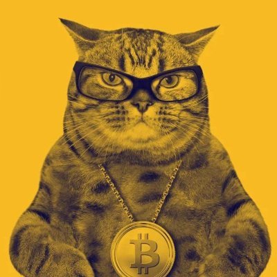 CuriousSatoshi's profile picture. 🧐 Blockchain, Web3, and crypto insights
📚 Learn, share, and laugh—no financial advice!
💬 Join the discussion: https://t.co/UAMr9LXP3T
🌍 Explore more