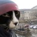 :DDerke (@derke) Twitter profile photo :DDerke (@derke) Twitter profile photo