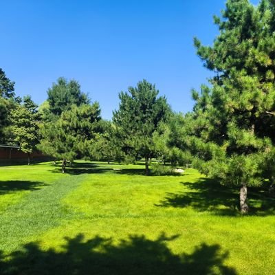 jerry_jijun's profile picture. Hello