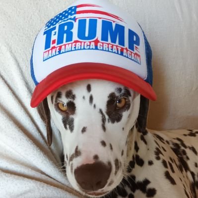 Mega Maga 💯% 🇳🇿🤝🇺🇲https://t.co/JP3hz9Wqb5
https://t.co/4OB3uRC5X5
Join us at the 'Is it a Bot or Not' community 🤖💥🔨