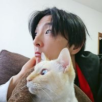 DD (@harinezumikundd) Twitter profile photo