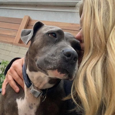 LA transplant, SD girl. Eternally grateful to soccer for bringing me south. In love with a pitbull 🐶 Navigating a new work world in water.