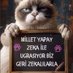 Golgeprens Ayasofya sevdam.. (@1976dogdum) Twitter profile photo Golgeprens Ayasofya sevdam.. (@1976dogdum) Twitter profile photo