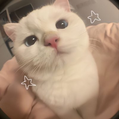 .Ė āšā āttp mnngis mski jiwa tririsā å½”Ė ą¼ā” Ā·Ė