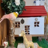 パピロ (@yukimushi0511) 's Twitter Profile