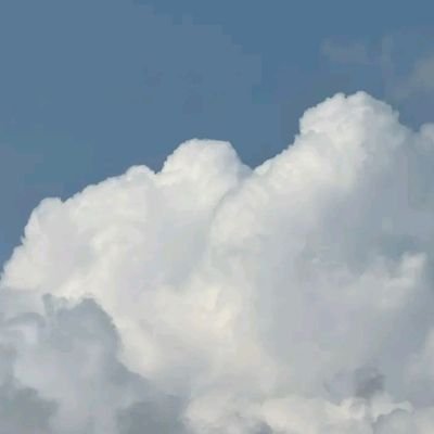 sa_15n's profile picture. فحل لأي كبير