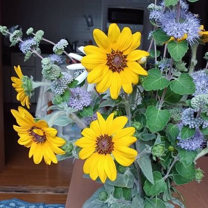 PRgKUUfuGP3910's profile picture. 自然大好き💕家庭菜園楽しみ🍅家庭連合歴54年、家族大好き💕信教の自由🌻