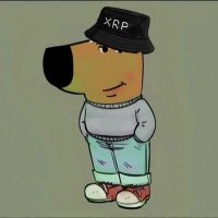 chillguyXRPL (@chillguyxrpl) 's Twitter Profile