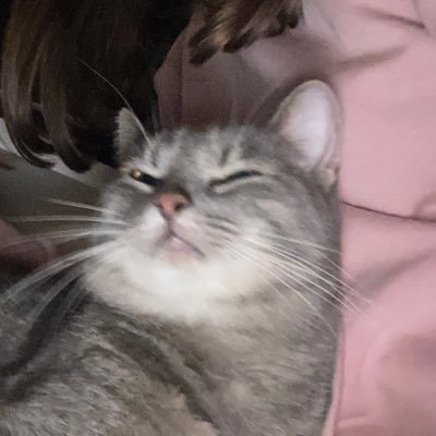 zoiyux1's profile picture. –Never let other people drag you down your own path to truth. Look for her yourself           -Richard Feynman