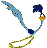If roadrunner taught us anything, it's that physics only works when you're paying attention.
