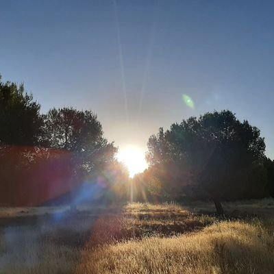 He is the One God ✨️ Interpreter of Numbers ✨️ 'There is no coincidence. Only the illusion of coincidence' (looP_rM) ✨️